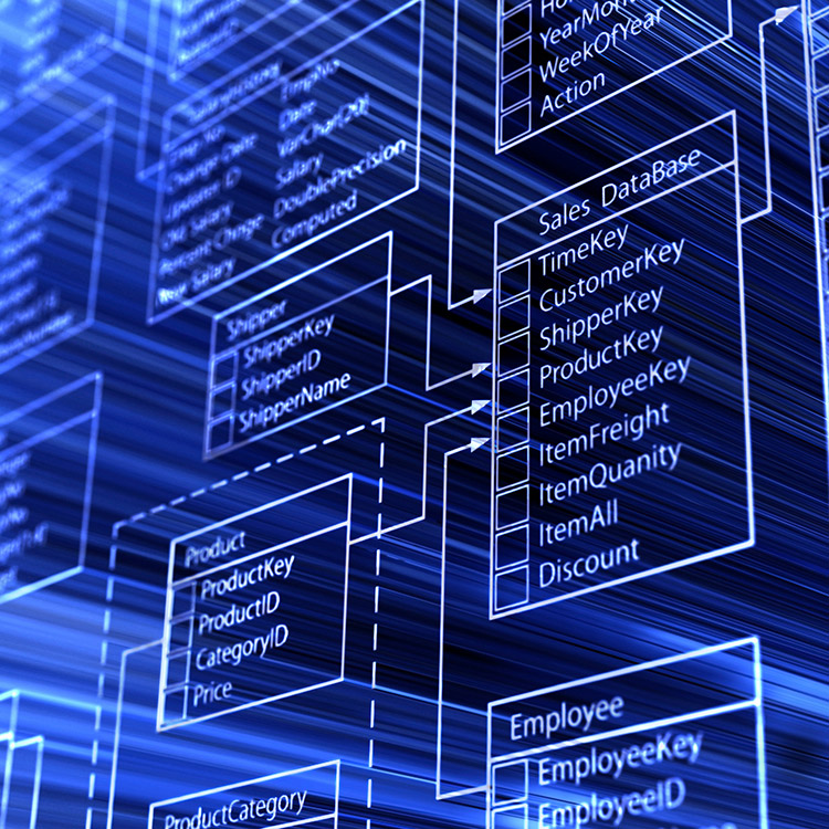 Program, Analysis, Strategy and Management