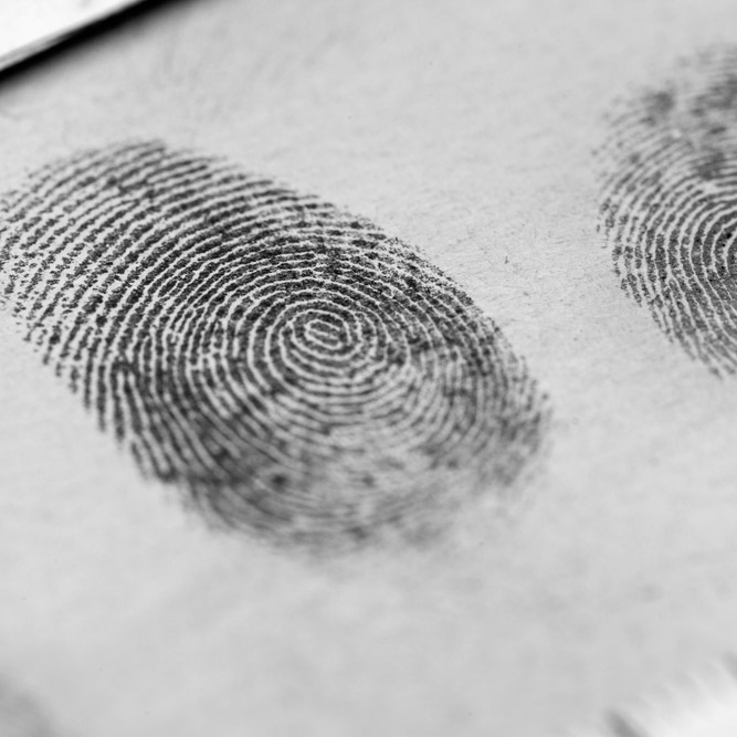 Investigative Services