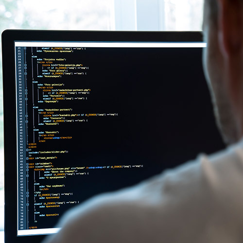 SW Development and Integration